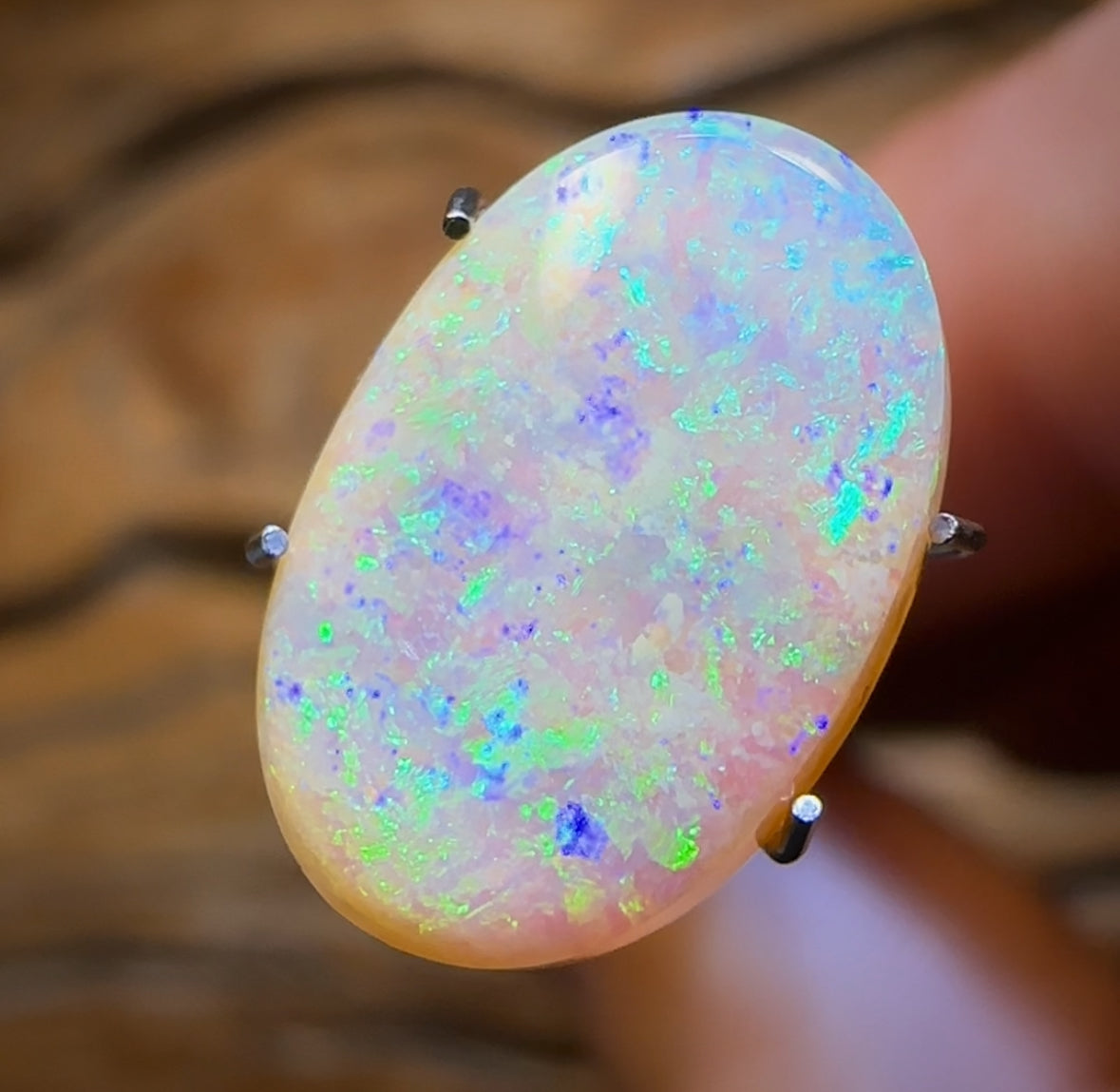 3.25cts - Solid GEM Australian Boulder Pipe Opal