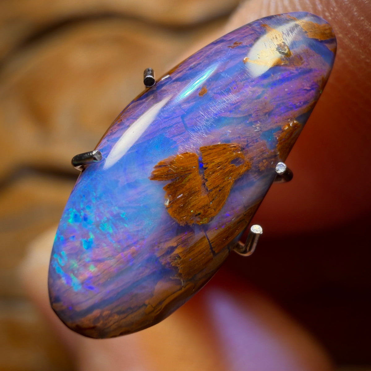 2.4cts - Wood Fossil Replacement Boulder Opal from Yowah