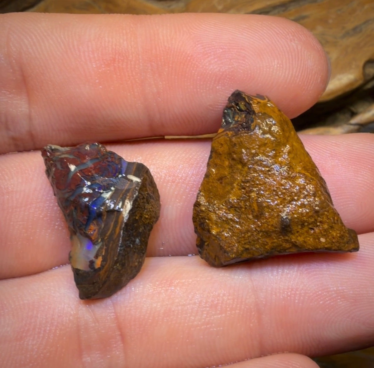 42,4 ct – 2 seltene, rohe Yowah-Nuss-Kristallopale im Zentrum