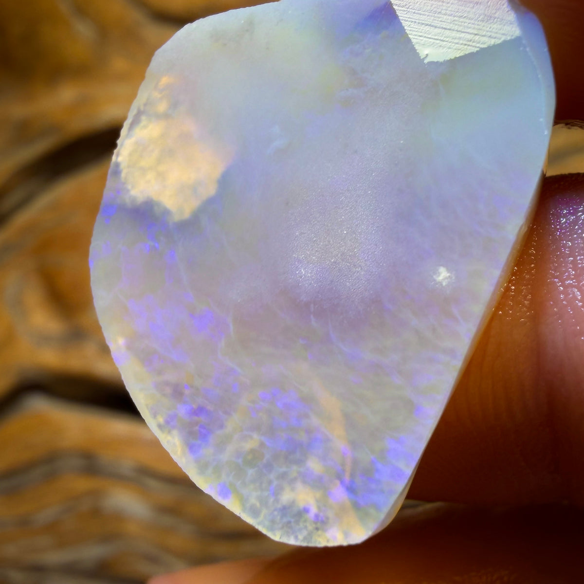 26.8cts - Lightning Ridge Semi Crystal Opal Rough Rub