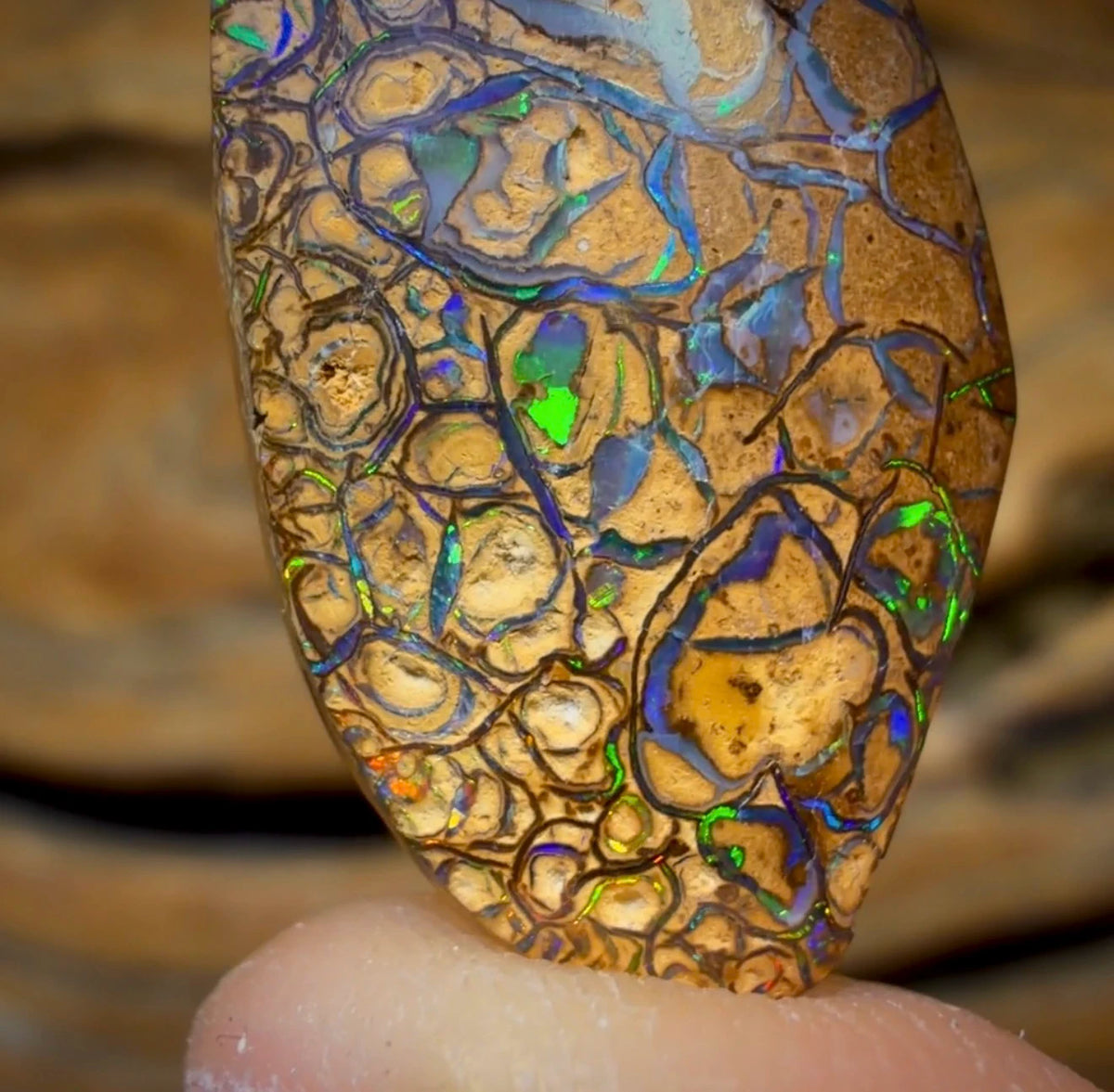 Wildcard! 13.3cts - Tan Tribal Australian Boulder Opal from Yowah