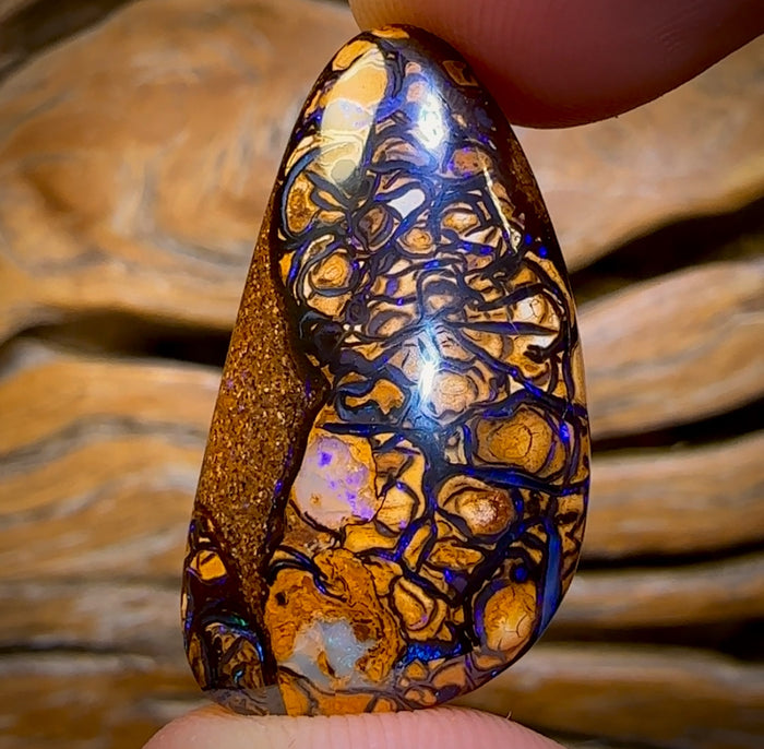 🔨 AUCTION 🔨 28.6cts - Tan Tribal Yowah Nut Opal. Australian Opal