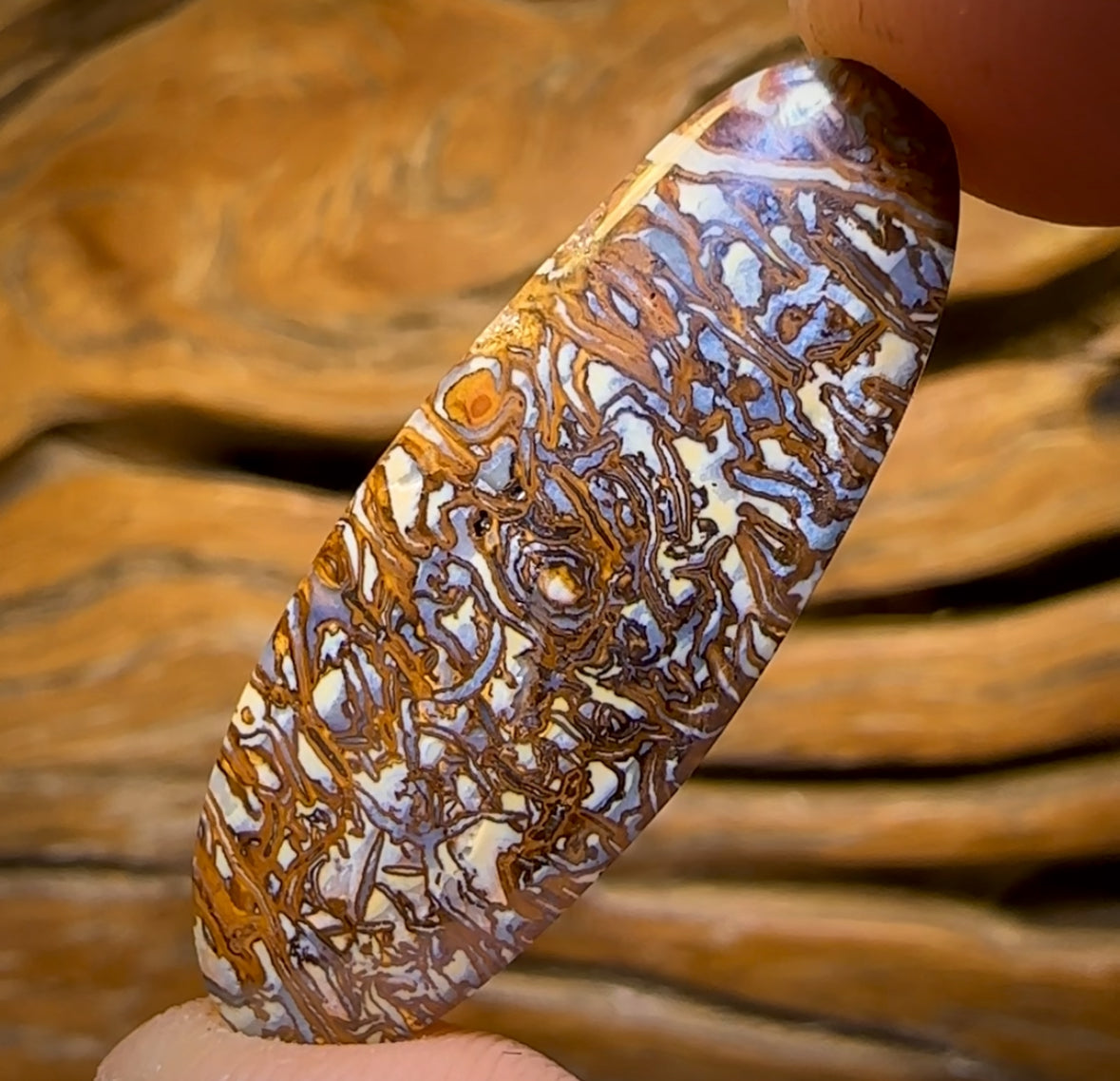 19.1cts - Awesome Tribal Queensland Boulder Opal. Double Sided!