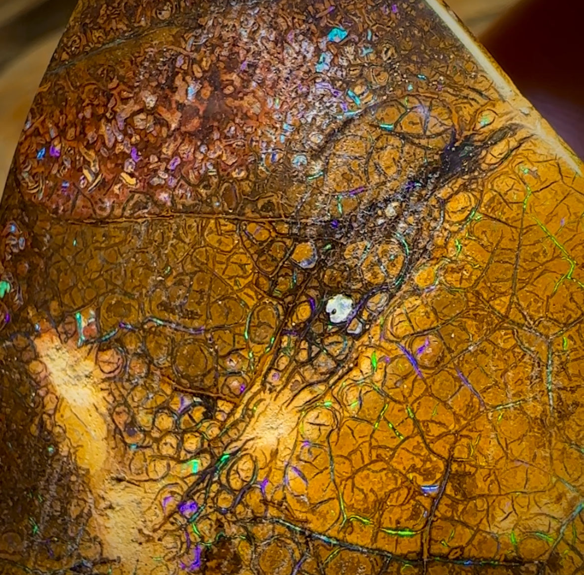 235cts - Tan Tribal Queensland Boulder Opal. Polished Specimen
