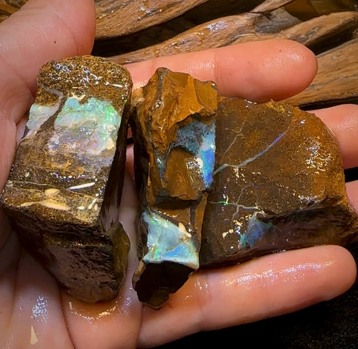 🔨 AUCTION 🔨 849cts - 3x Queensland Boulder Opal Rough Parcel from Winton