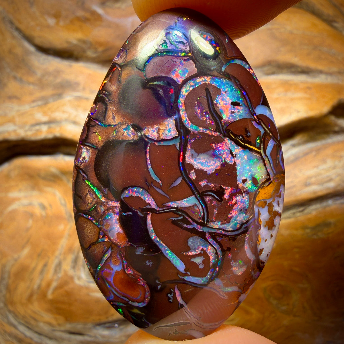 81.1cts - TOP Tribal Australian Boulder Opal from Koroit