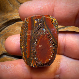 118,6 Karat - Stammes-Yowah-Nuss-Opal Rohstück