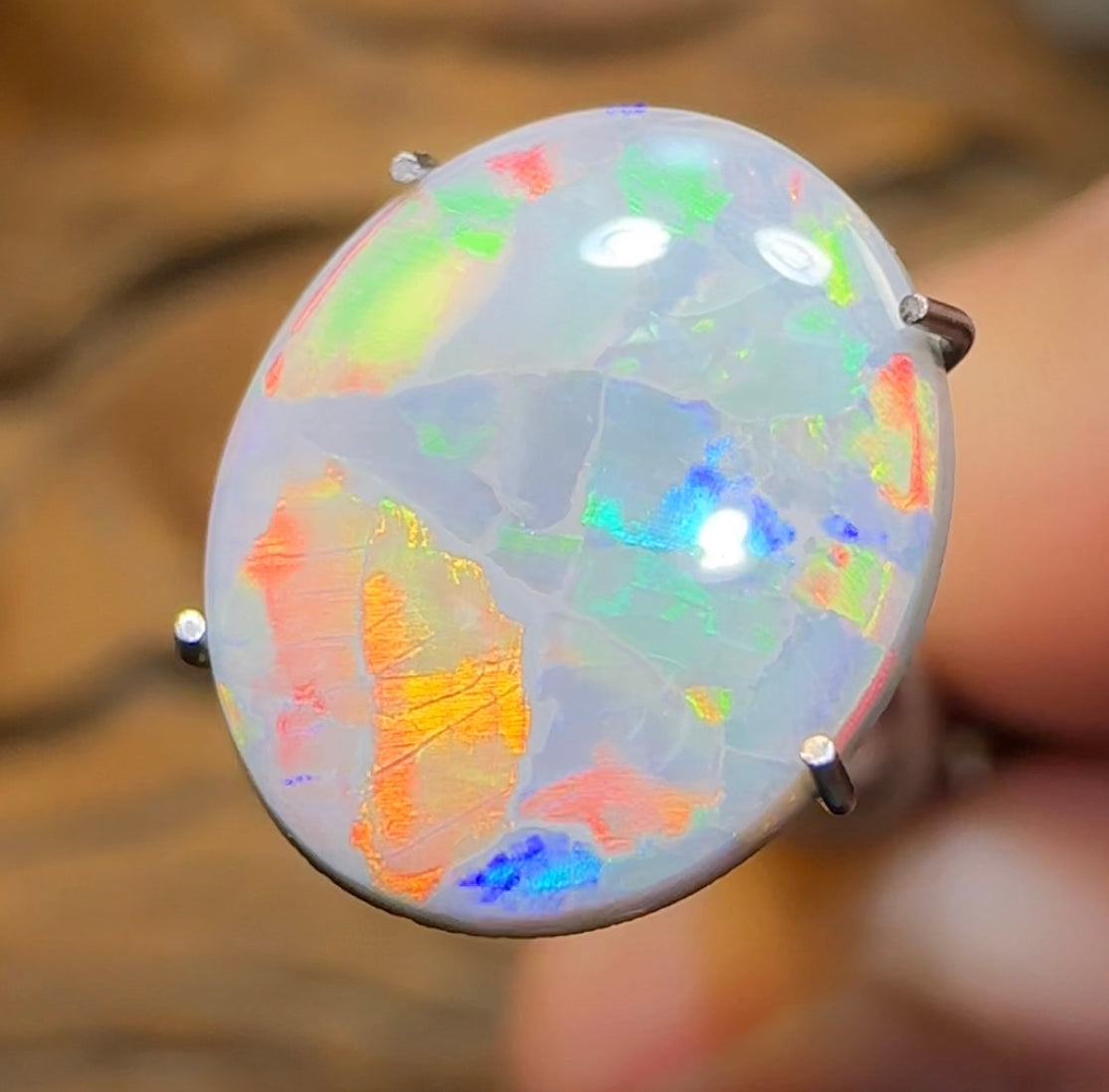 2.6cts - Australian Semi Black Opal from Lightning Ridge Flag / Harlequin type Pattern - Opal Whisperers