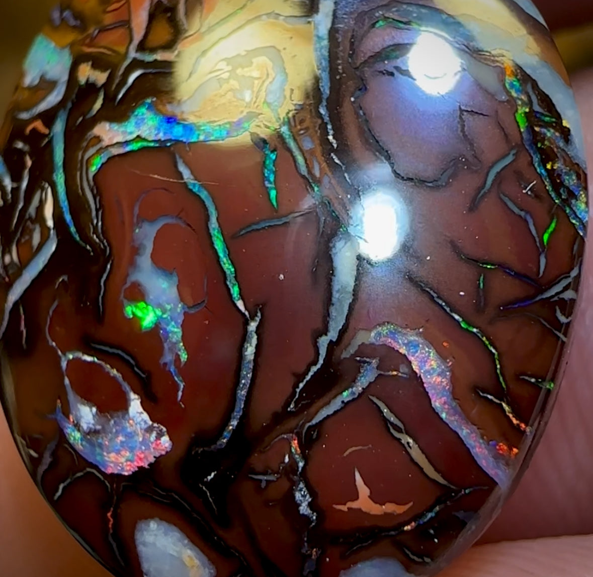 20.9cts - Wow Top Tribal Boulder Opal Picture Stone from Koroit