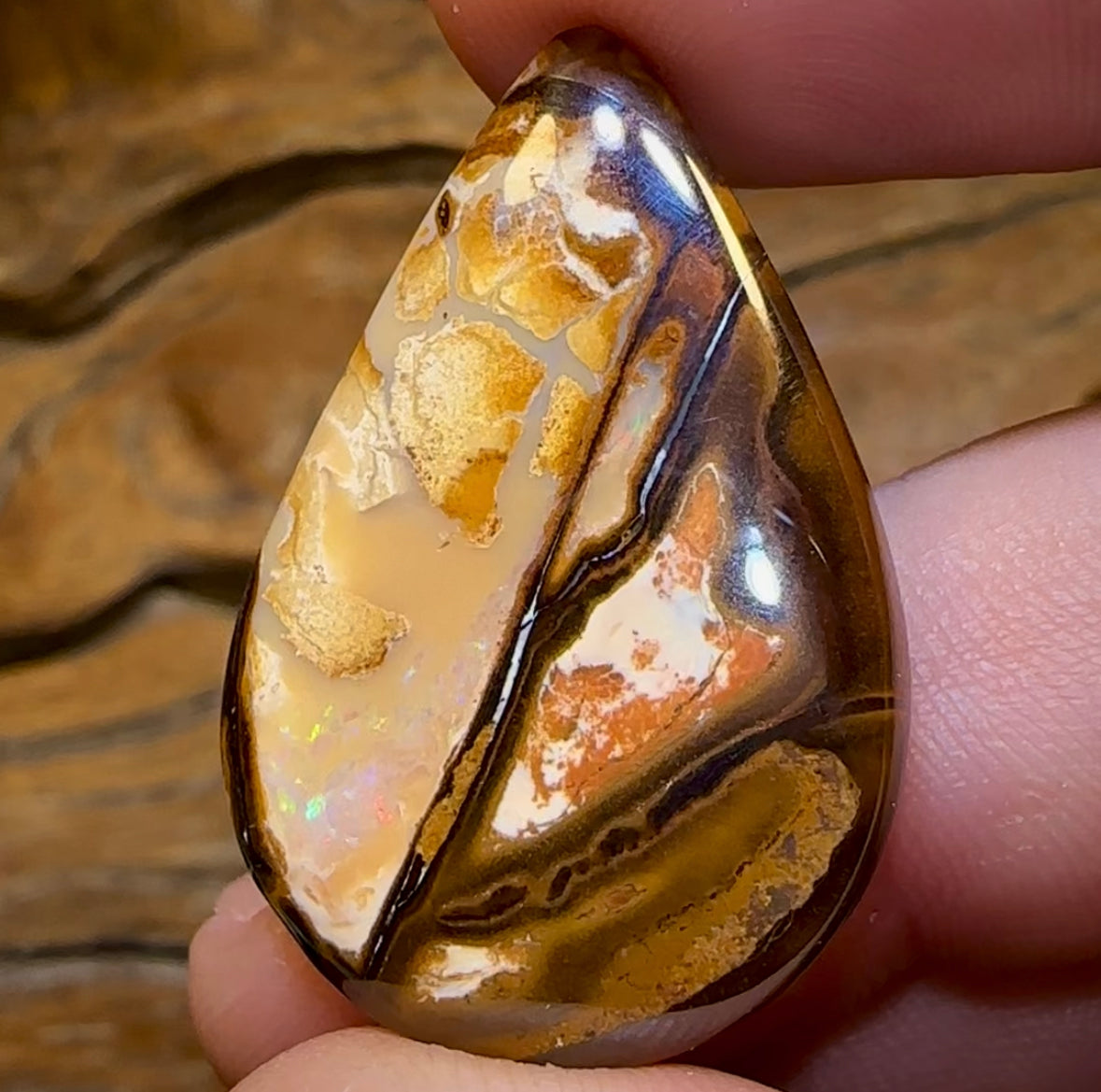 32.5cts - Queensland Boulder Opal from Yowah - Opal Whisperers