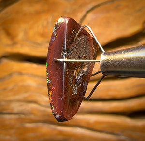 14.1cts - Top Black Electric Tribal Koroit Nut Opal. Australian Opal