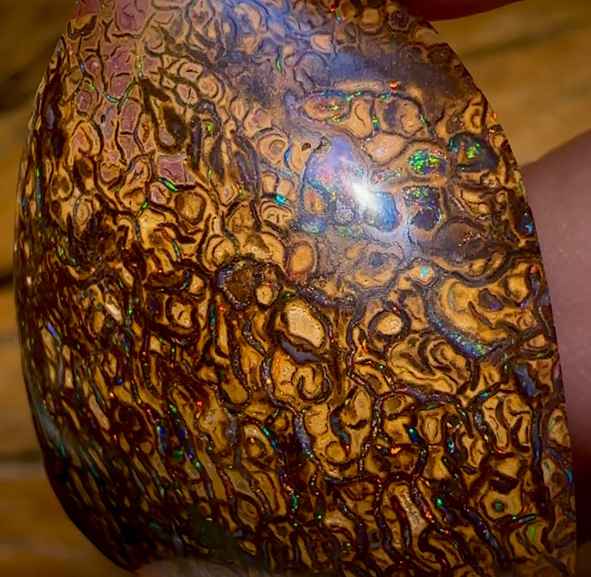 73.3cts - Queensland Boulder Opal from Yowah. Red Tribal