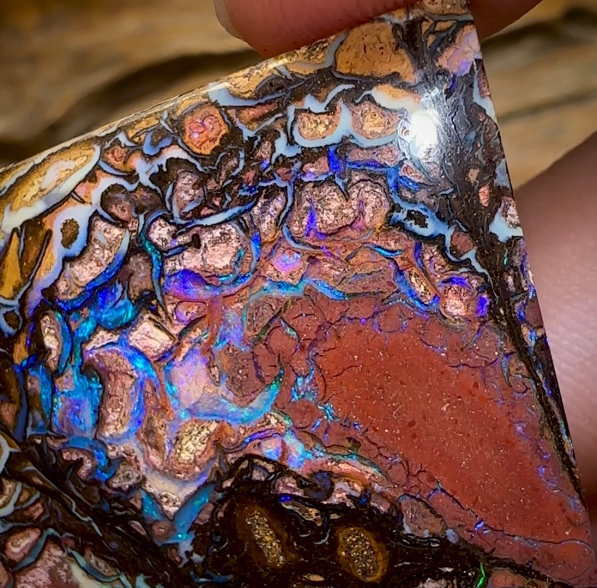 79.1cts - Large Yowah Nut Tribal Opal segmented landscape Pattern - Opal Whisperers