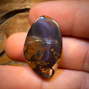 35.6cts - Tribal Queensland Boulder Opal from Yowah Bargain