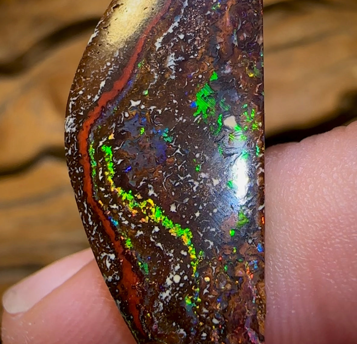 11.2cts - Electric Tribal Queensland Boulder Opal - Opal Whisperers