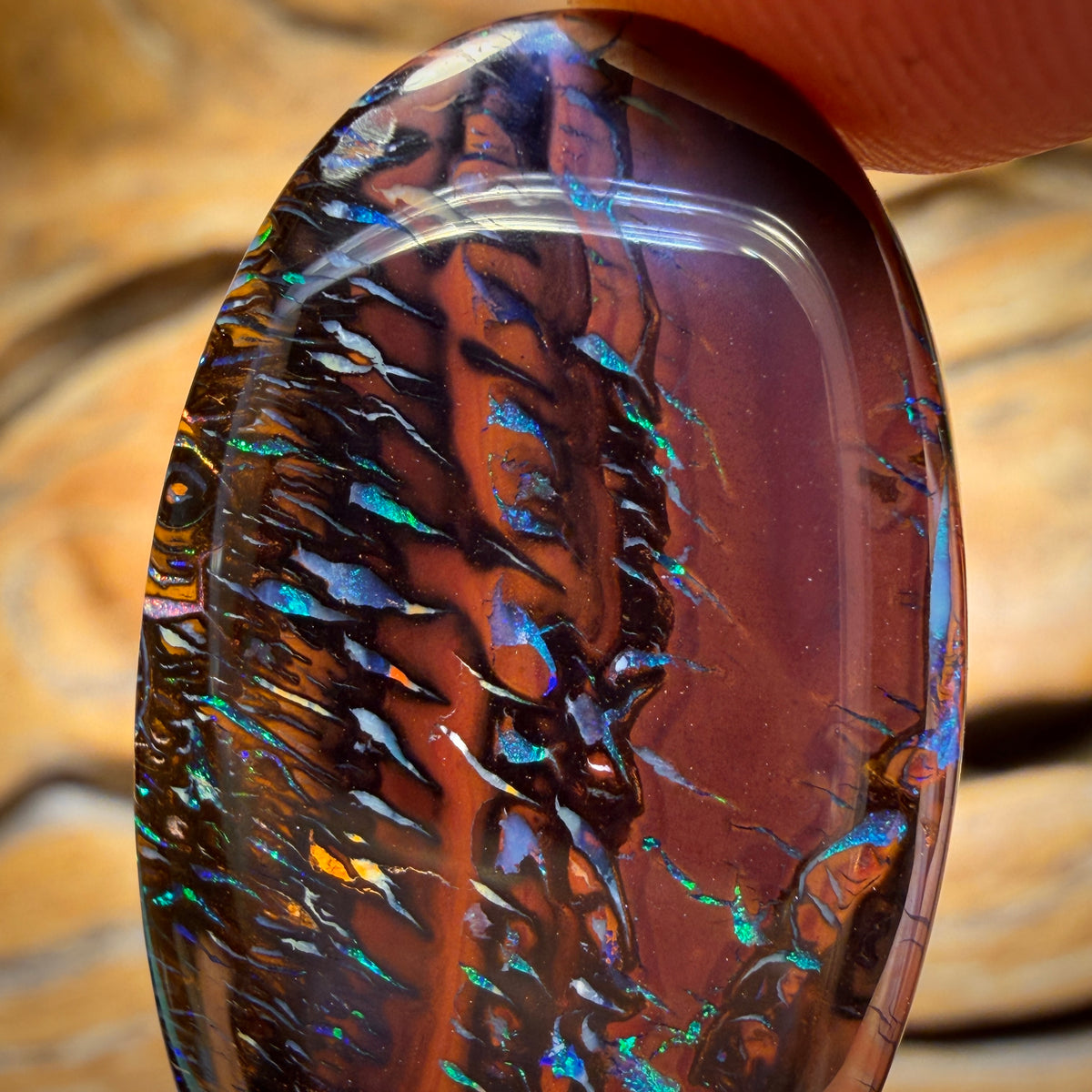 Aren’t You Glad you stayed until the end Card! 45.4cts - Tribal Koroit Nut Opal. Double Sided