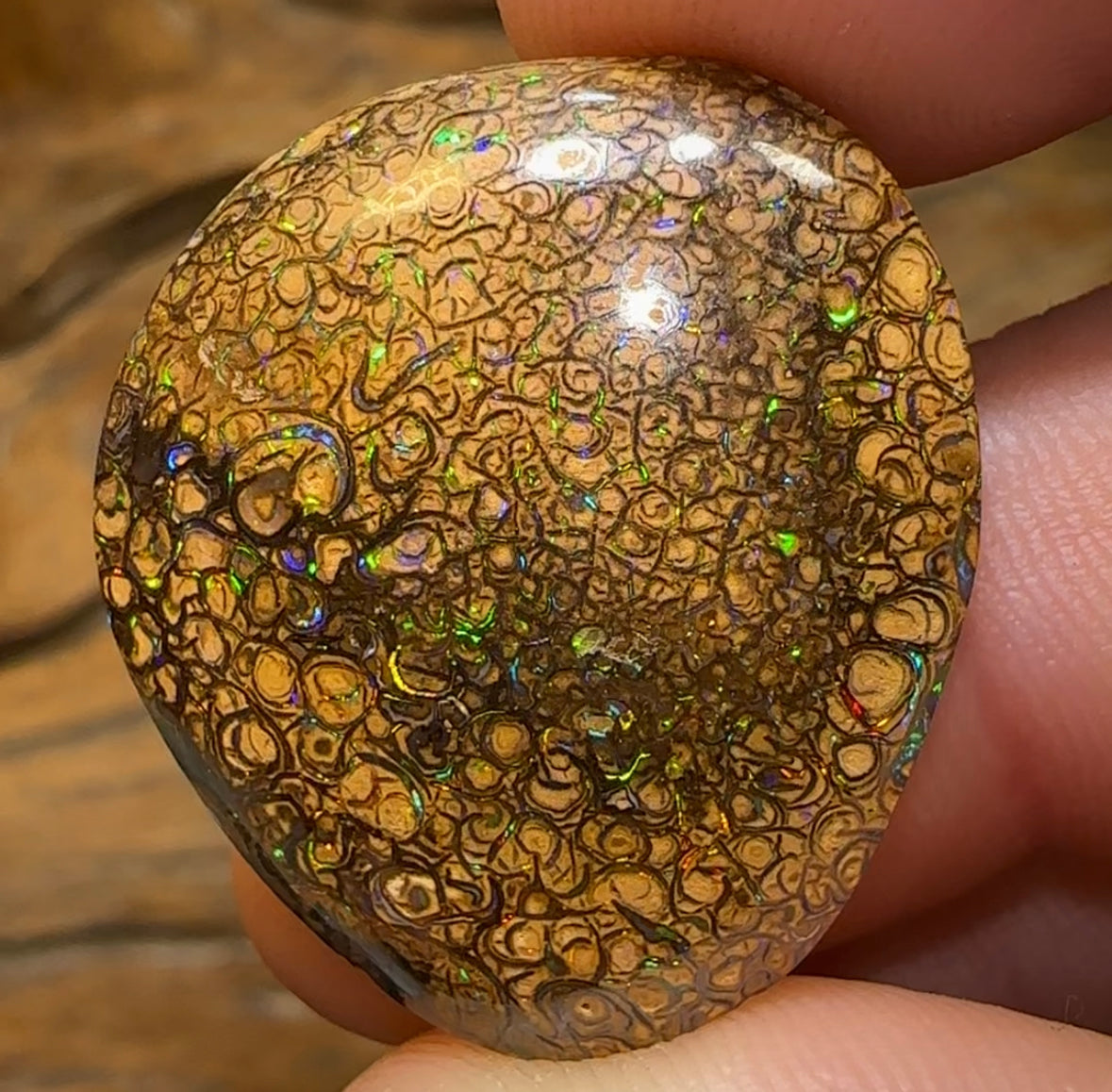 41.9cts - Yowah Boulder Opal. Tight Pattern Tan Tribal Australian Opal - Opal Whisperers