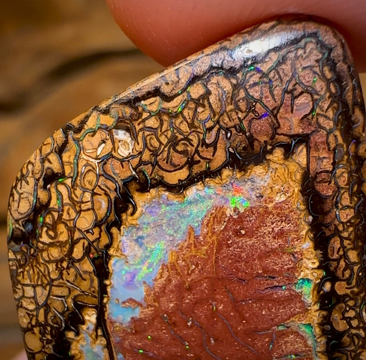 43.6cts - Yowah Nut Tribal Opal. Double Sided - Opal Whisperers