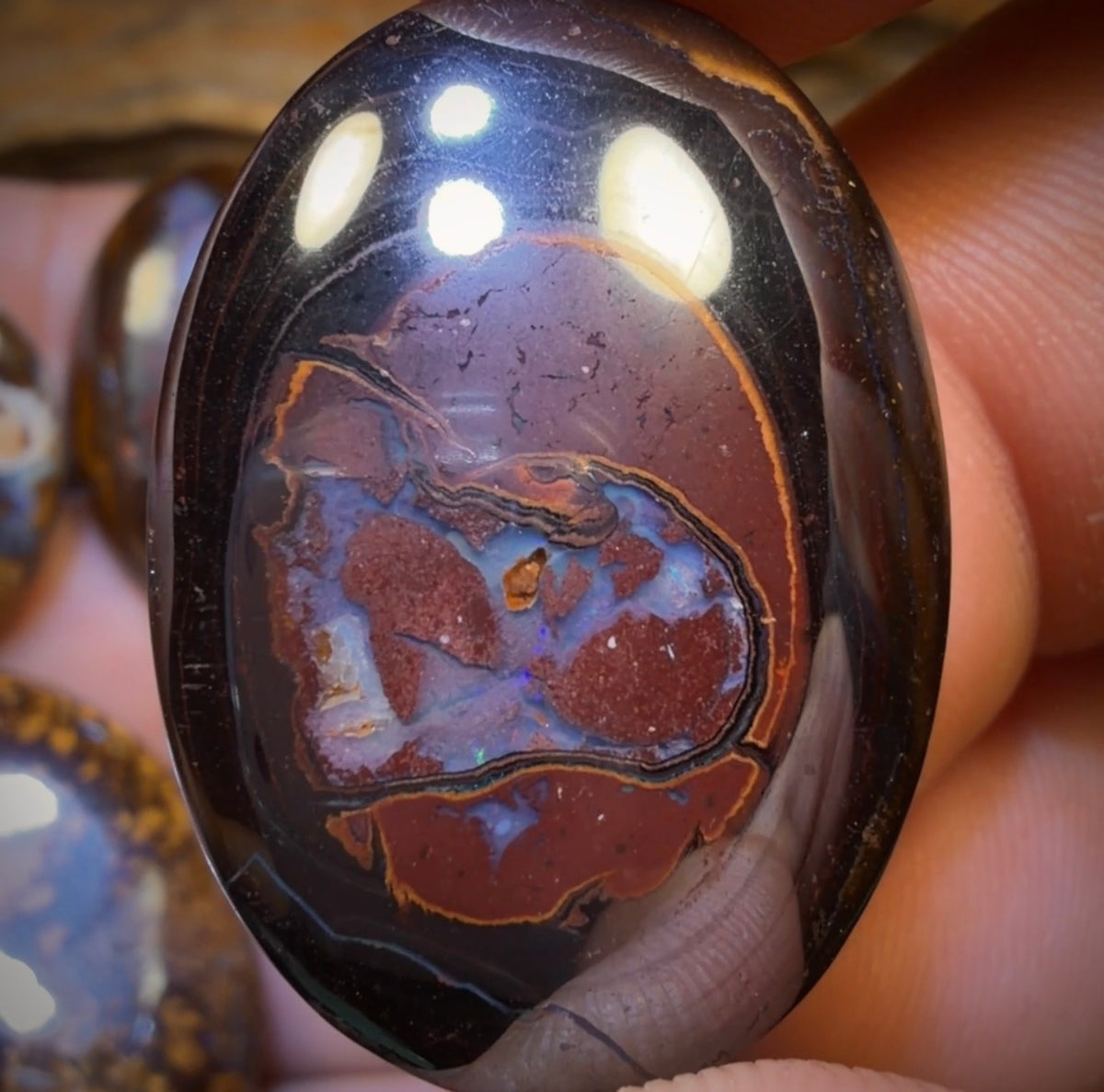178.7cts - 5x Australian Boulder Opal’s. Wholesale Dealers Parcel
