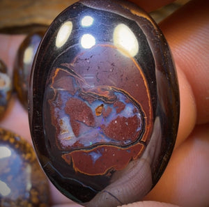 178.7cts - 5x Australian Boulder Opal’s. Wholesale Dealers Parcel