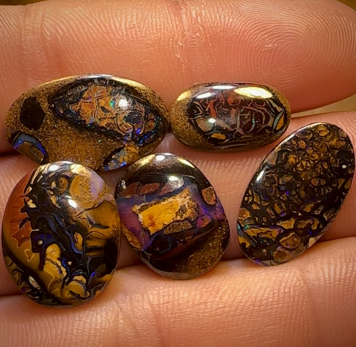 🔒36.7cts - 5x Finished Tribal Queensland Boulder Opals. Wholesale Parcel