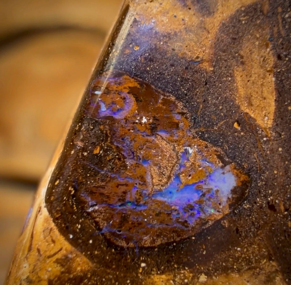 OpalFest BargainCard! 61.4cts - Yowah Nut Opal. Australian Boulder Opal