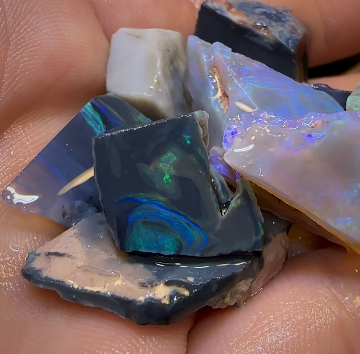 135.1cts - Quality 12x Lightning Ridge Dark and Black Opal Rough Parcel - Opal Whisperers