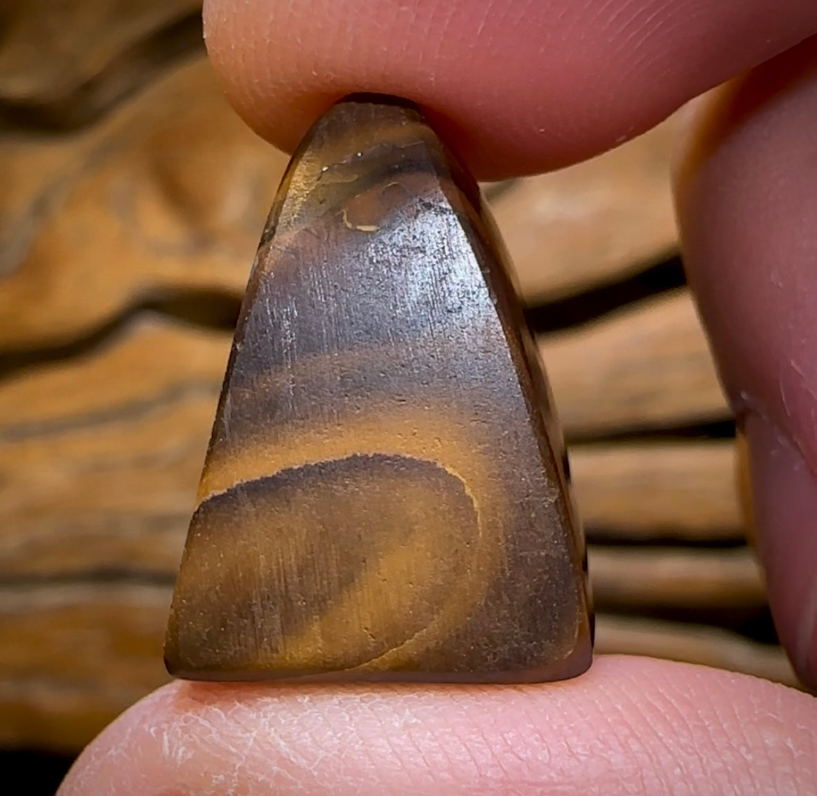 37.2cts - “ Coffee Kernel Frog ” Yowah Nut Polished Specimen Picture Stone