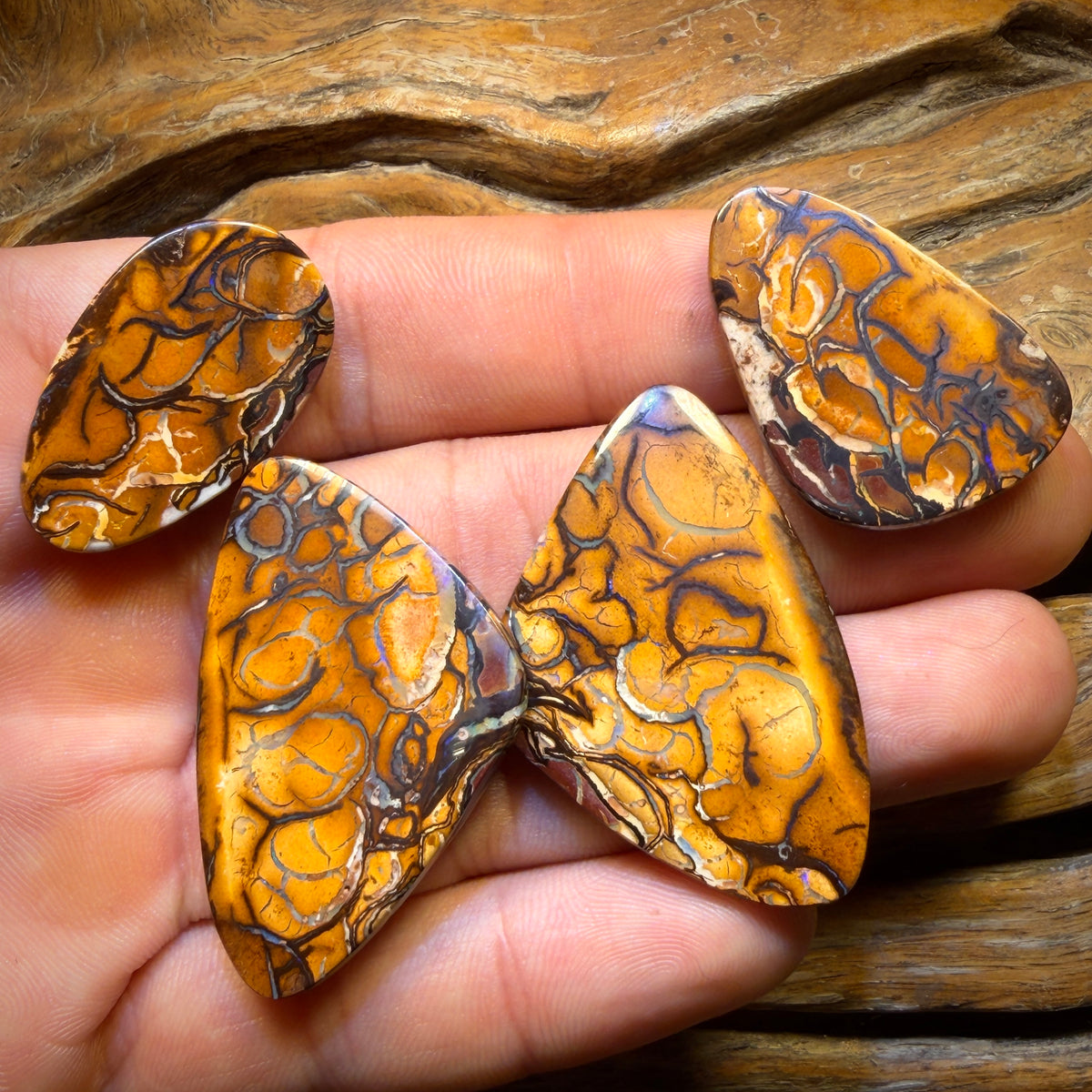 Get TWO FREE Card!113.6cts - Yowah Nut Tribal Family Parcel. Australian Opal
