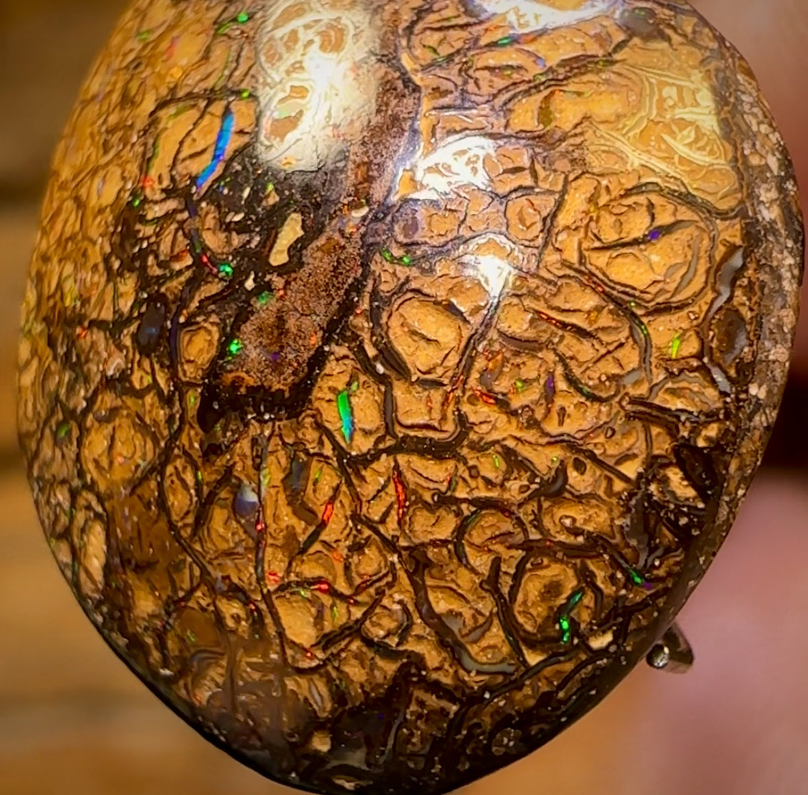 12.3cts - Tan Tribal Yowah Nut Opal. Multicolours!