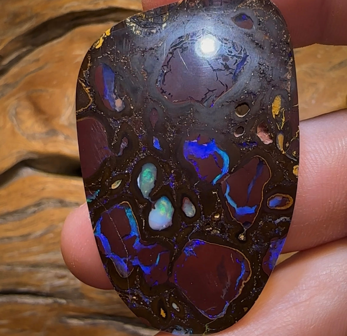 50.9cts - Large Koroit Nut Conglomerate Opal. Double Sided