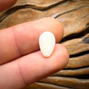 Bargain Card! 1.4cts - South Australian White Opal from Coober Pedy