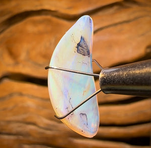 6.4cts - “Ocean Memory” Polished Opalised Shell Fossil from South Australia Double Sided Magic