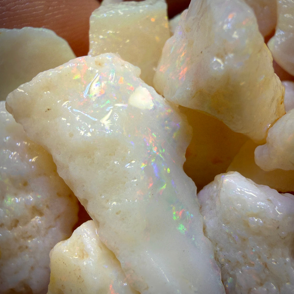 124.1cts - 20x South Australian White Opal Rough Parcel