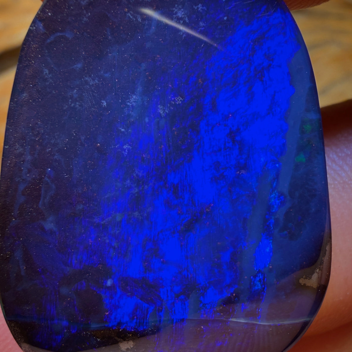 🔨 AUKTION 🔨 Ohne Mindestpreis 50,4ct - Top Queensland Boulder Seam Opal
