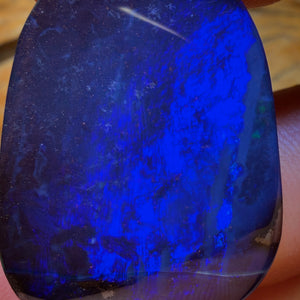 🔨 AUKTION 🔨 Ohne Mindestpreis 50,4ct - Top Queensland Boulder Seam Opal