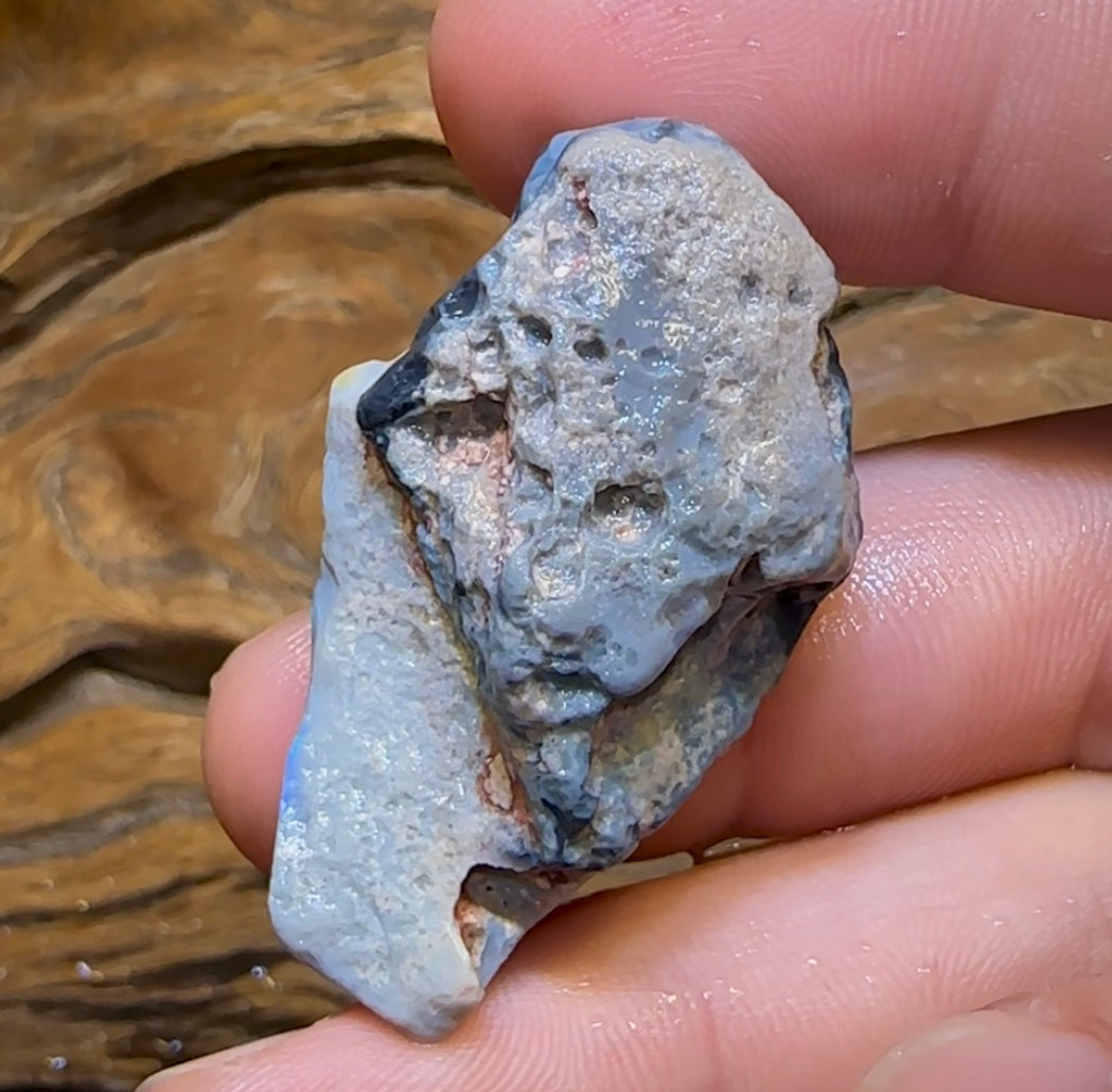 58.2cts - Dark Opal Rough Piece from Lightning Ridge. Flag/Chaff - Opal Whisperers