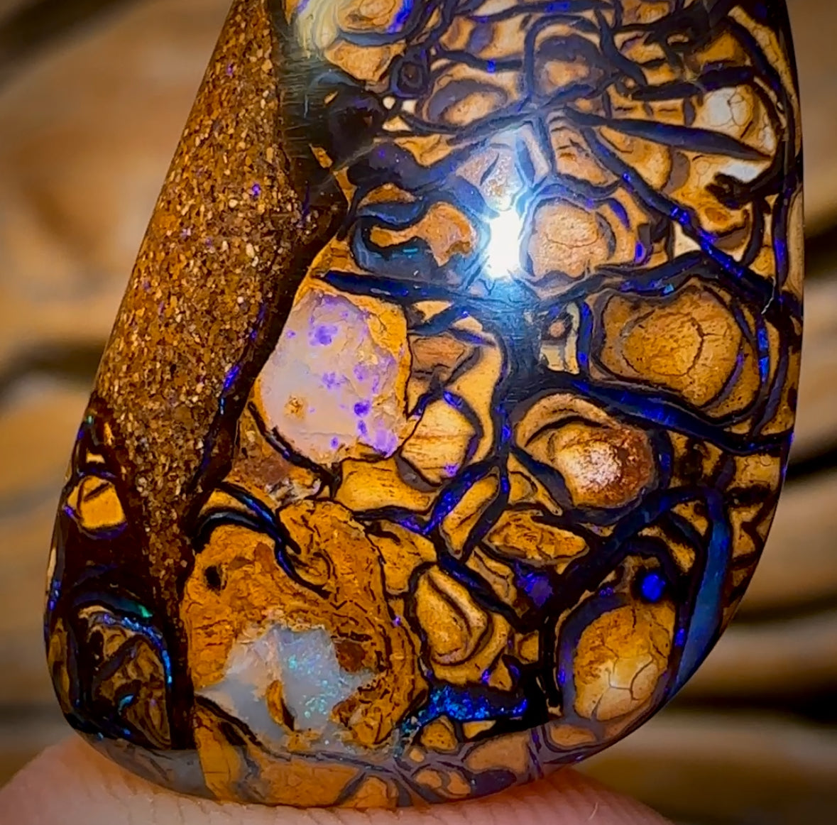 🔨 AUCTION 🔨 28.6cts - Tan Tribal Yowah Nut Opal. Australian Opal