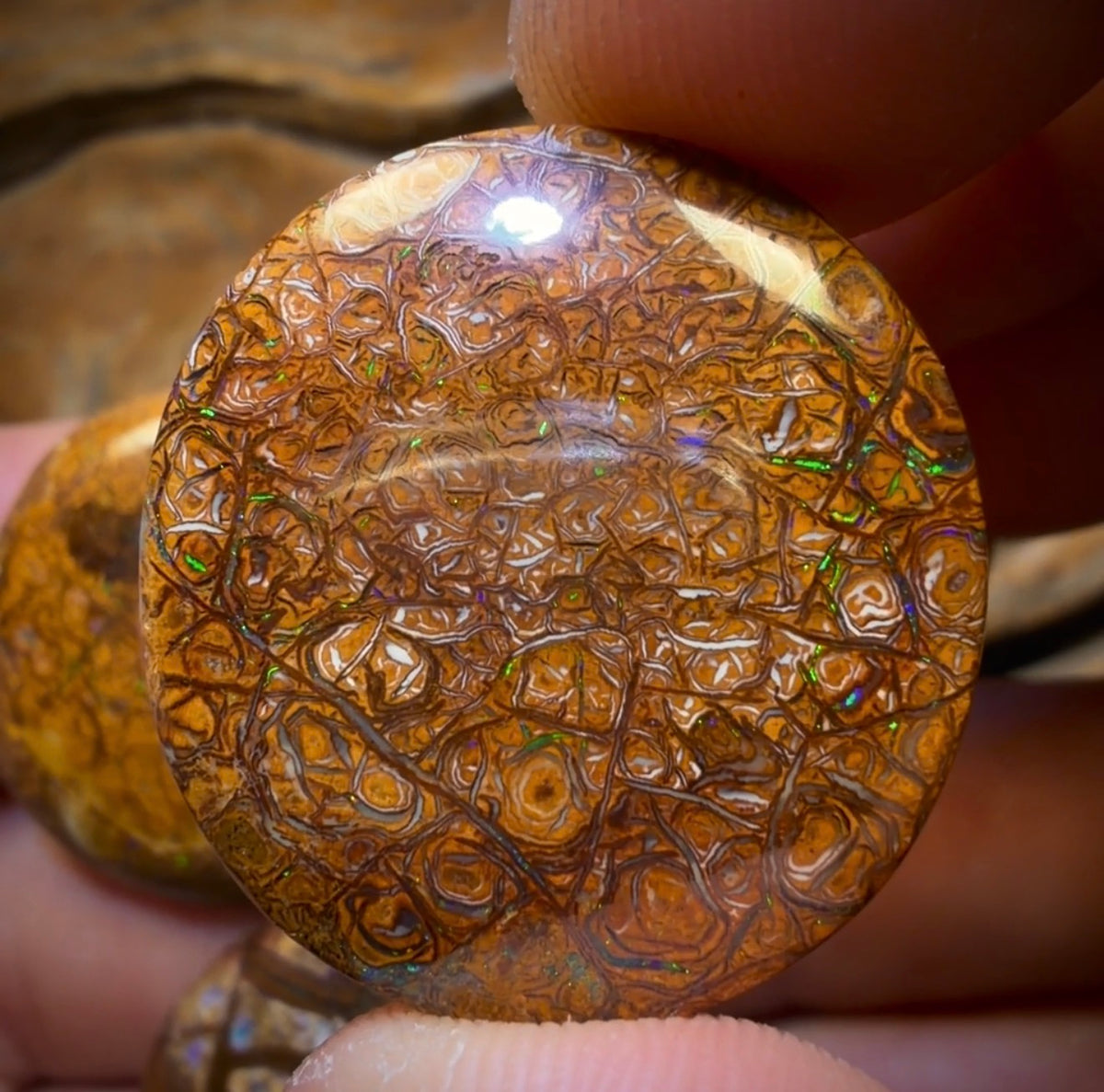 83.1cts - 3x Australian Tribal Boulder Opal’s. Wholesale Dealers Parcel