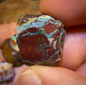 🔒 221,6 cts - Lot de 5 opales brutes Yowah Nut. Opale boulder australienne.
