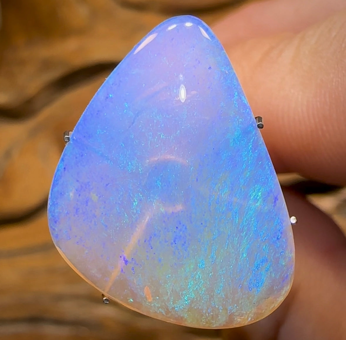 8.6cts - “Portal of Light” Yowah Nut Pure Crystal Opal Old Material Super Rare - Opal Whisperers