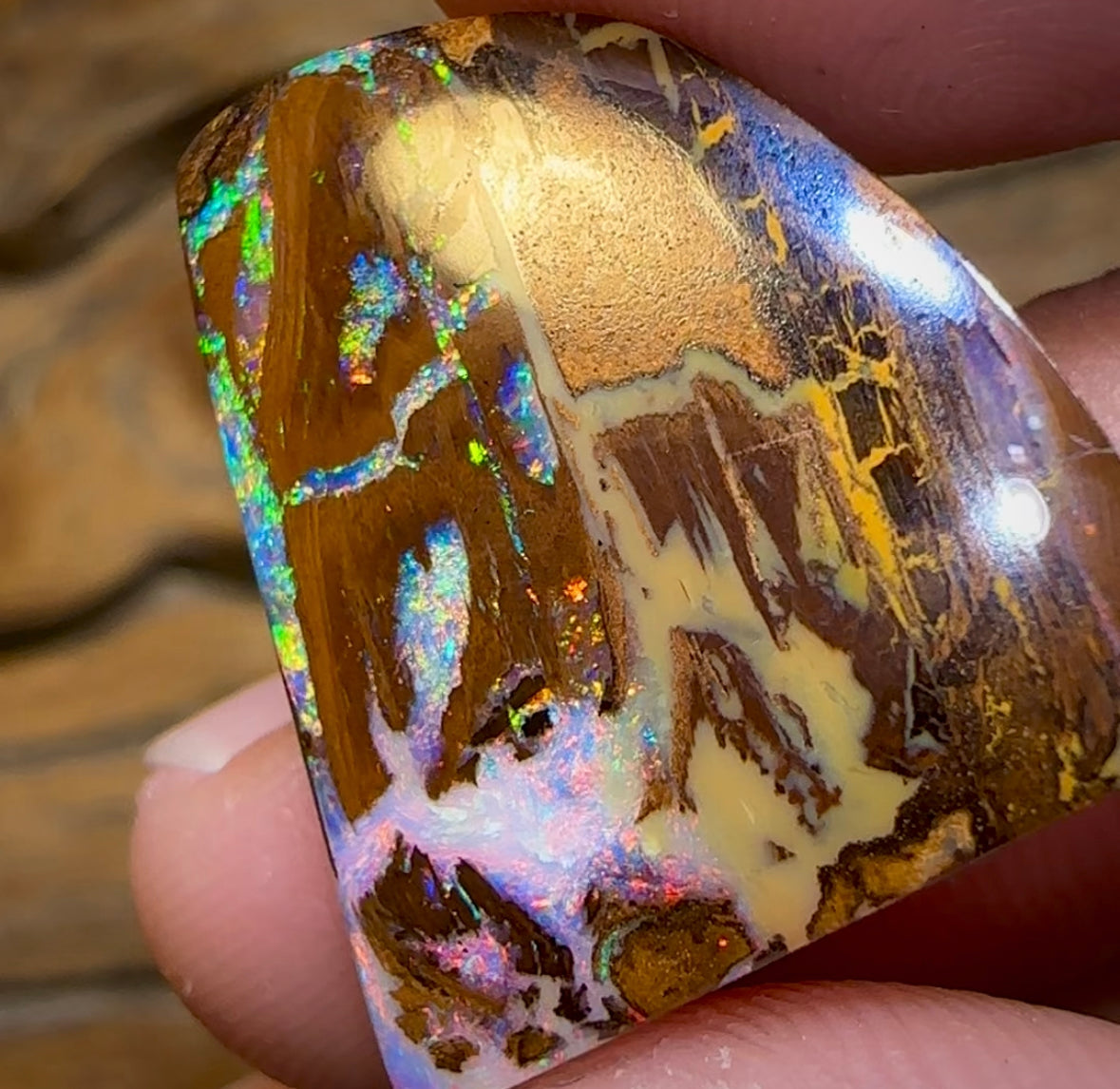 21.2cts - Australian Boulder Wood Cathedral Fossil Replacement Opal. ISAAC’S CUT - Opal Whisperers