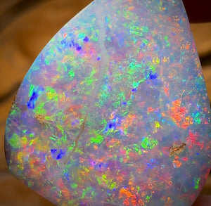 27.2cts - TOP GEM Australian Boulder Wood Fossil Opal From Yowah. Red Multicolours!