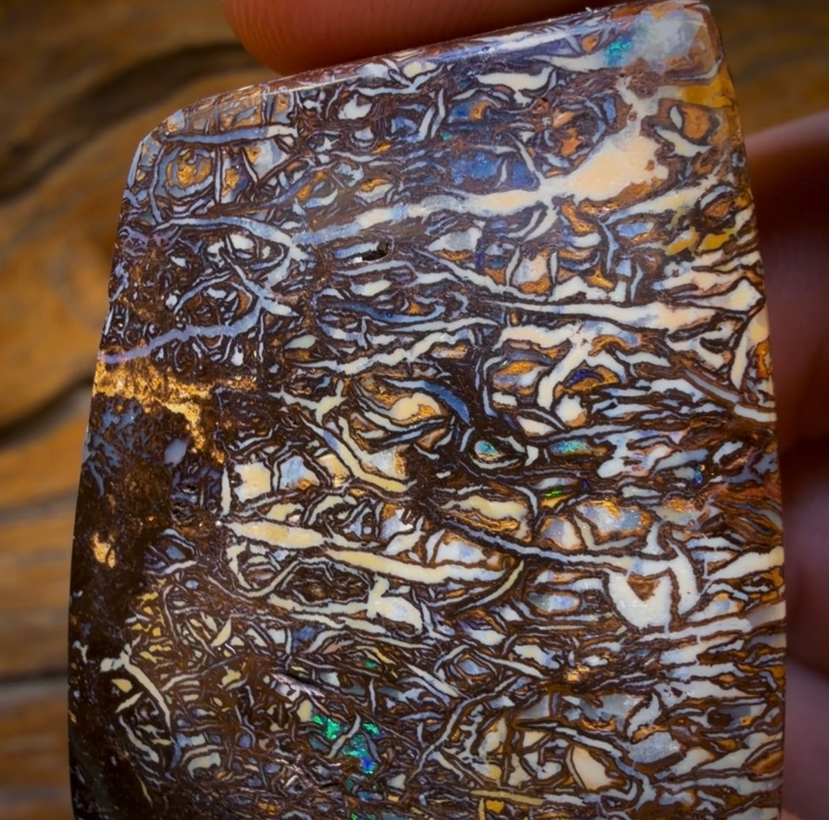 213.3cts - Tribal Australian Boulder Opal. Polished Specimen