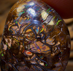 44.4cts - Tribal Australian Boulder Opal from Yowah. Multicolours!