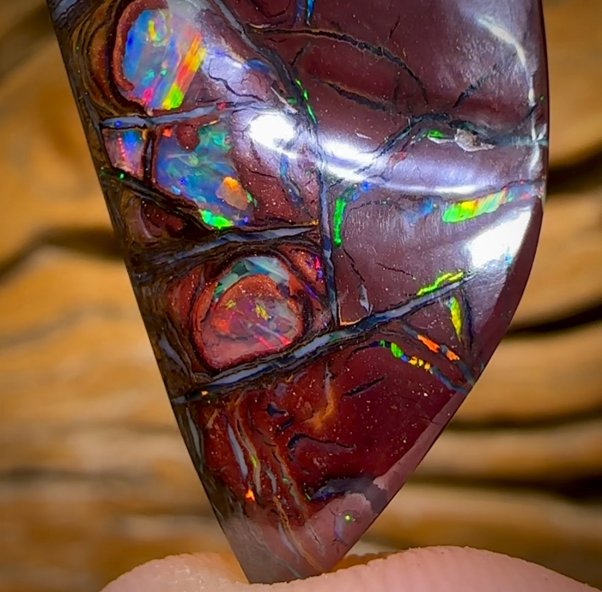 29.4cts - Top Tribal Australian Boulder Opal from Yowah. Red Multicolours!