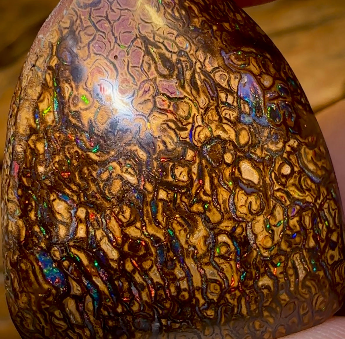 73.3cts - Queensland Boulder Opal from Yowah. Red Tribal