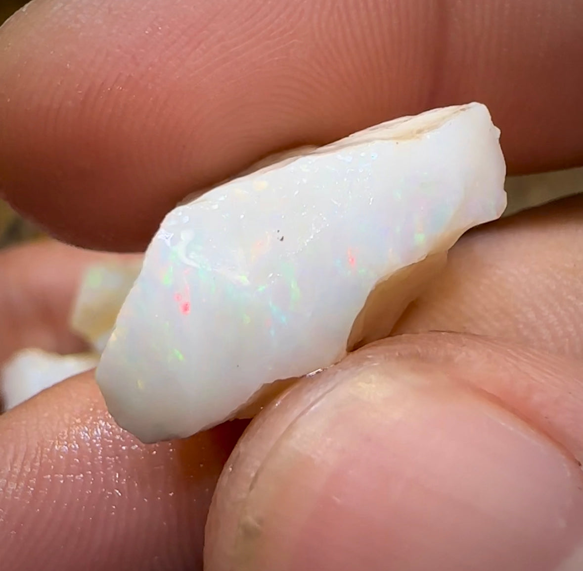 (Template) 98.3cts - 7x South Australian White Opal Rough Pieces - Opal Whisperers