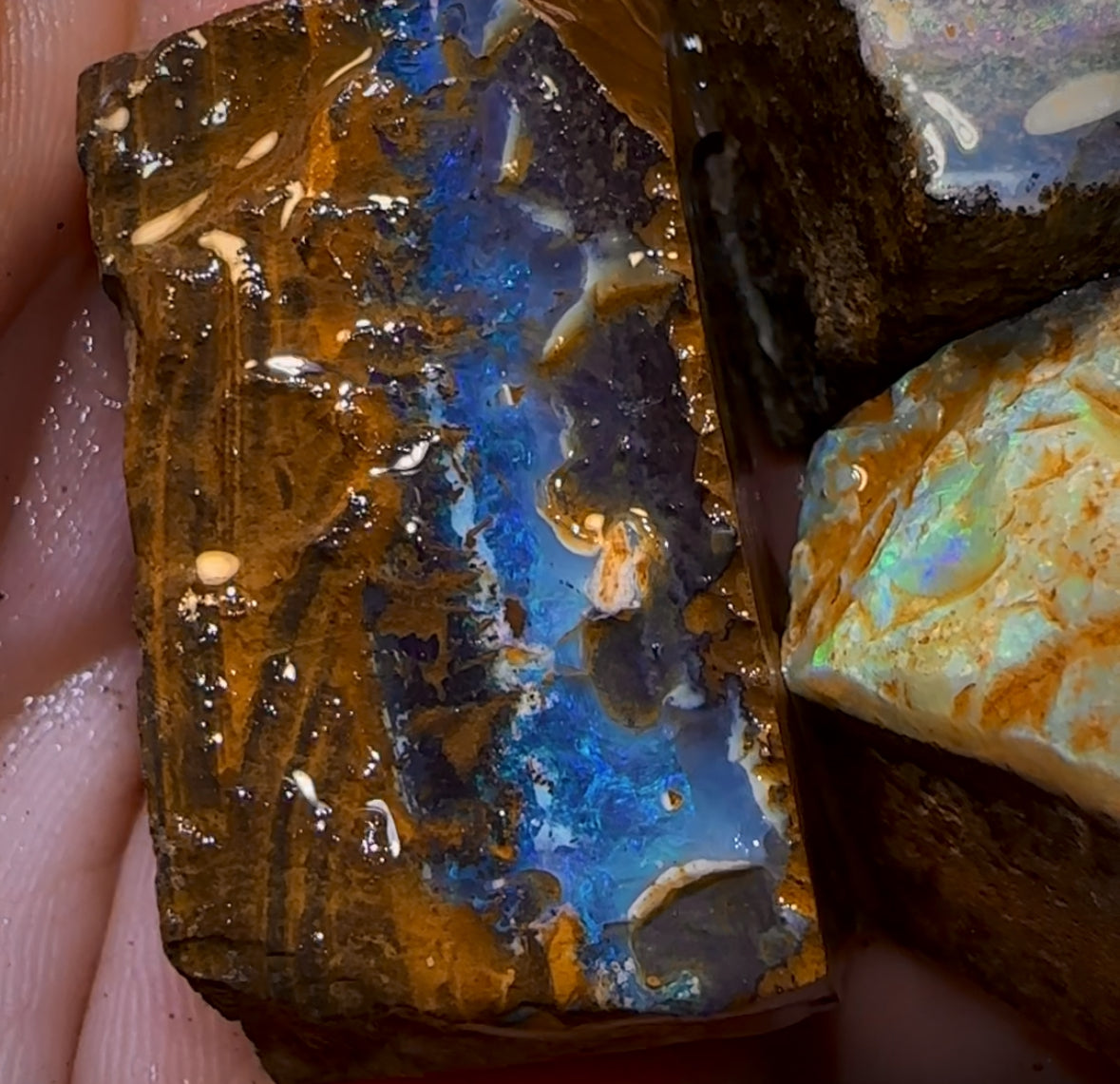 427.5cts - 3x Queensland Boulder Opal Rough Parcel from Winton