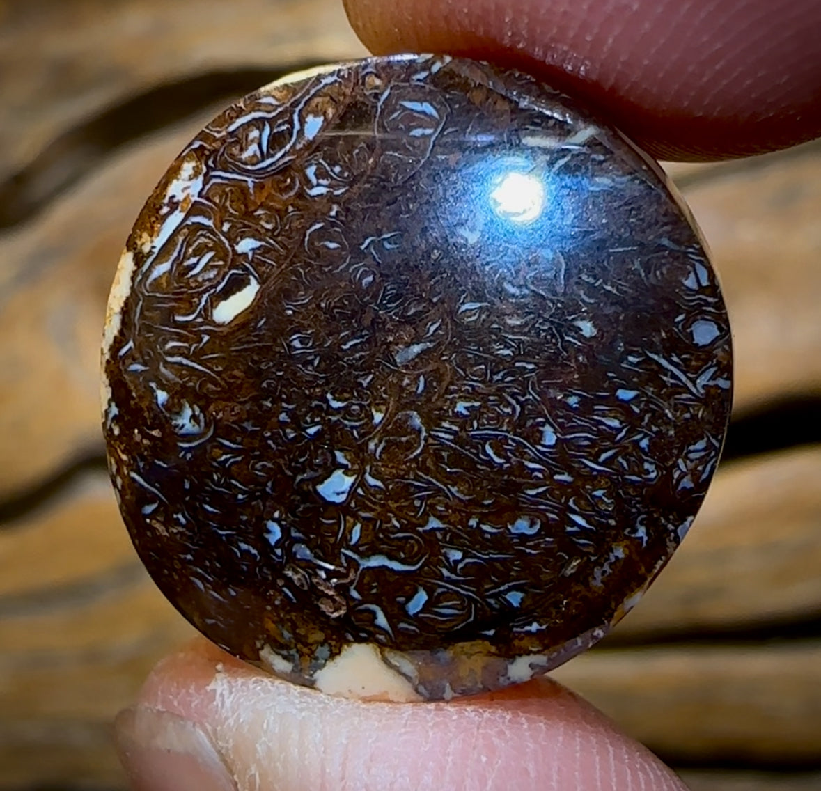 31.5cts - Love It Tribal Pattern Queensland Boulder Opal from Koroit